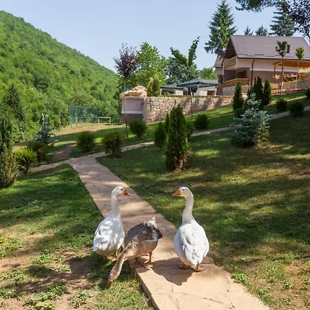 Vakantiehuis Vikendica Bjelasnica Ii *