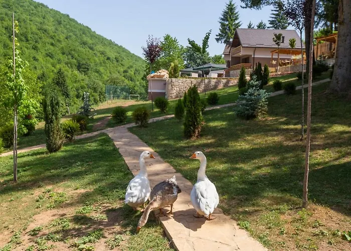 度假居 Vikendica Bjelasnica Ii *